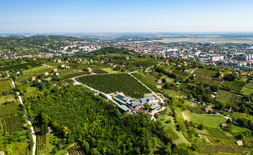 Szekszárd Wine District